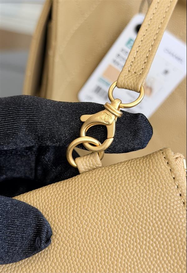 2026131204547231 850